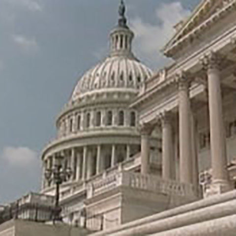 Legislative Branch, The: Our Federal Government by Winters Productions