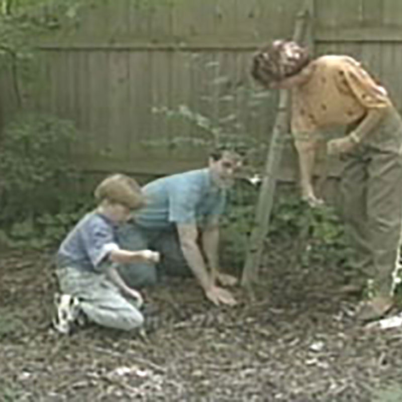 Earth Day: Holiday Facts and Fun