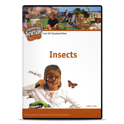 Insects