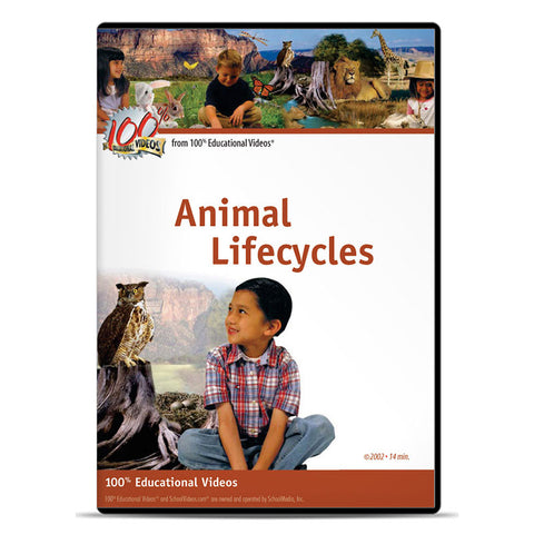 Animal Lifecycles