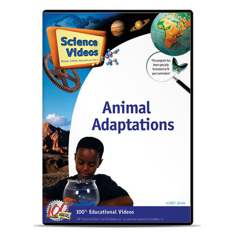 Animal Adaptations