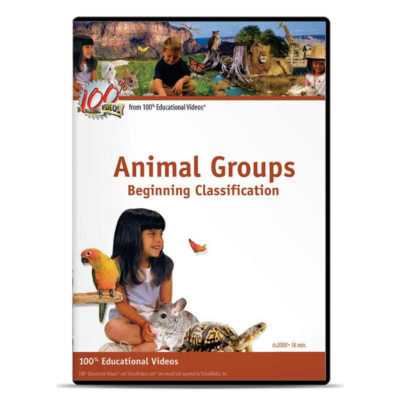Animal Groups: Beginning Classification