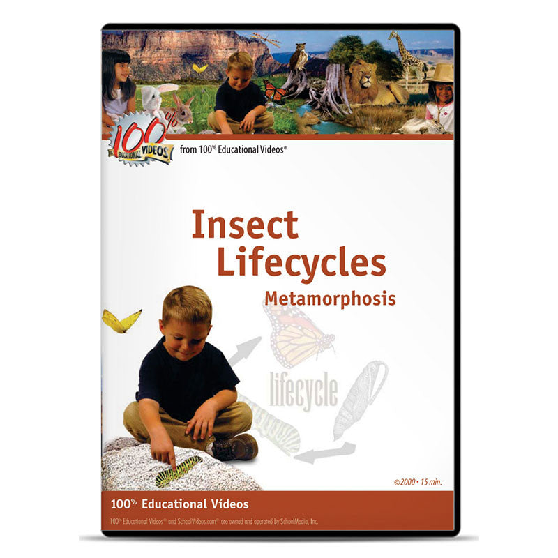 Insect Lifecycles: Metamorphosis