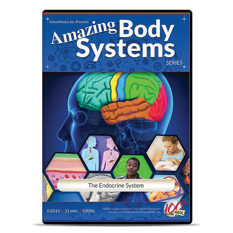 The Endocrine System: Amazing Body Series